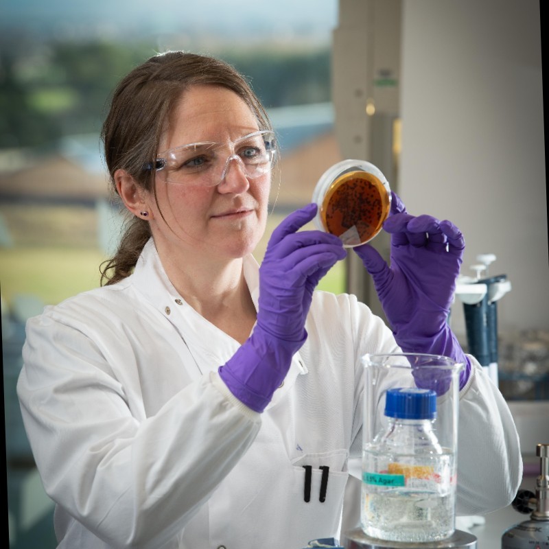Nicola Barnes profile